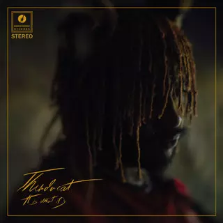 Thundercat album 'It Is What It Is