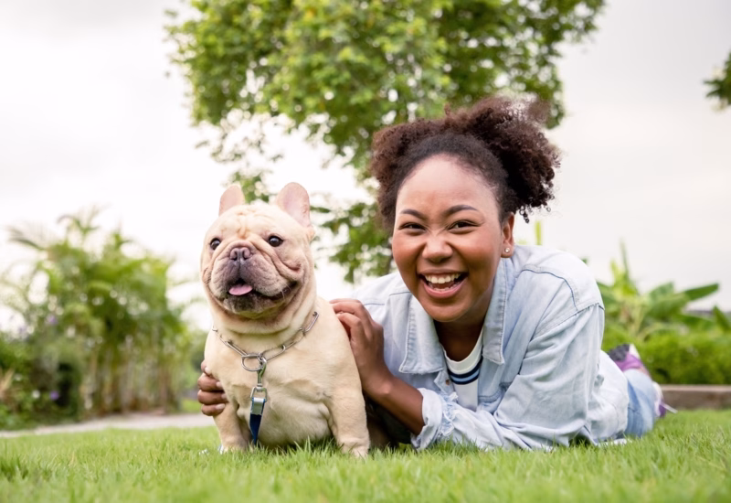A Guide To Taking Your Pet on Holiday