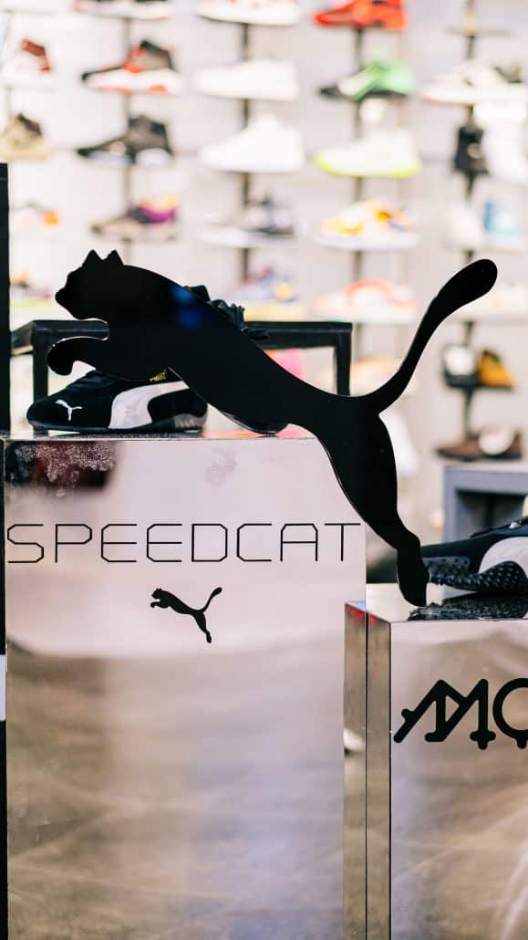 sportscene Reopens at Canal Walk with a Fresh Vibe