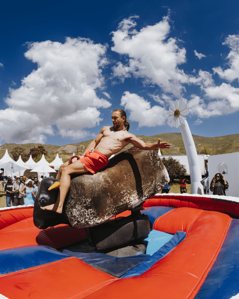 ROCKING THE DAISIES CELEBRATES 20 YEARS OF MZANSI IN BLOOM