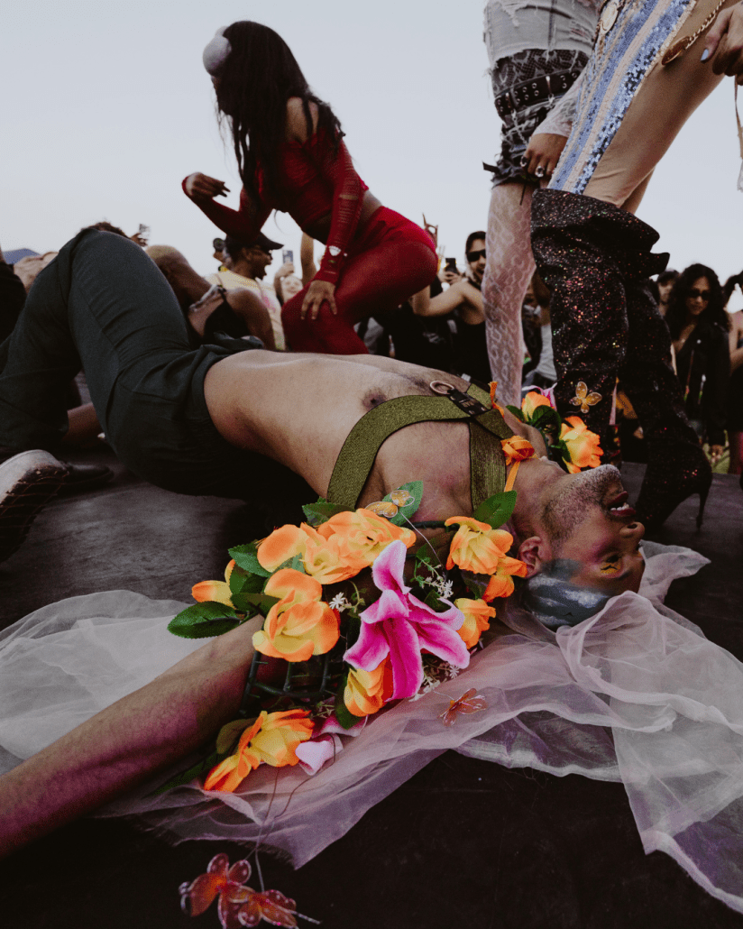 ROCKING THE DAISIES CELEBRATES 20 YEARS OF MZANSI IN BLOOM