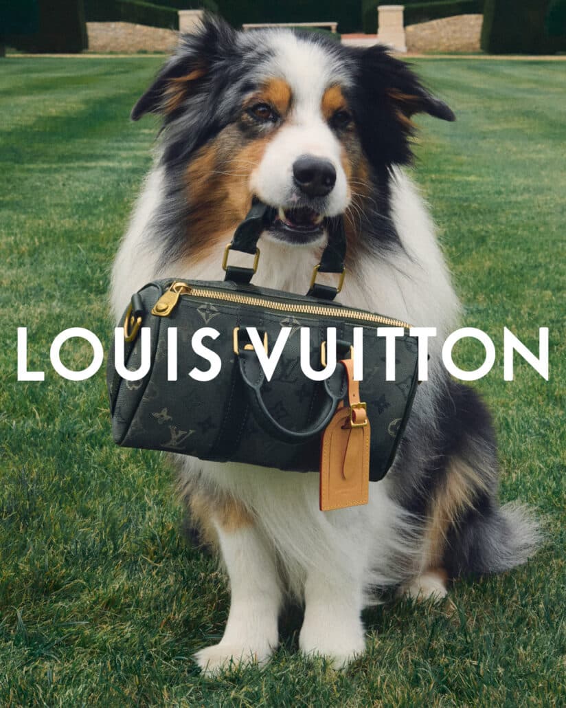 LOUIS VUITTON FRIEND OF THE HOUSE
