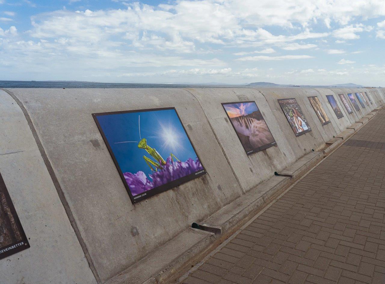 Sea Point Promenade Photography Competition 2026