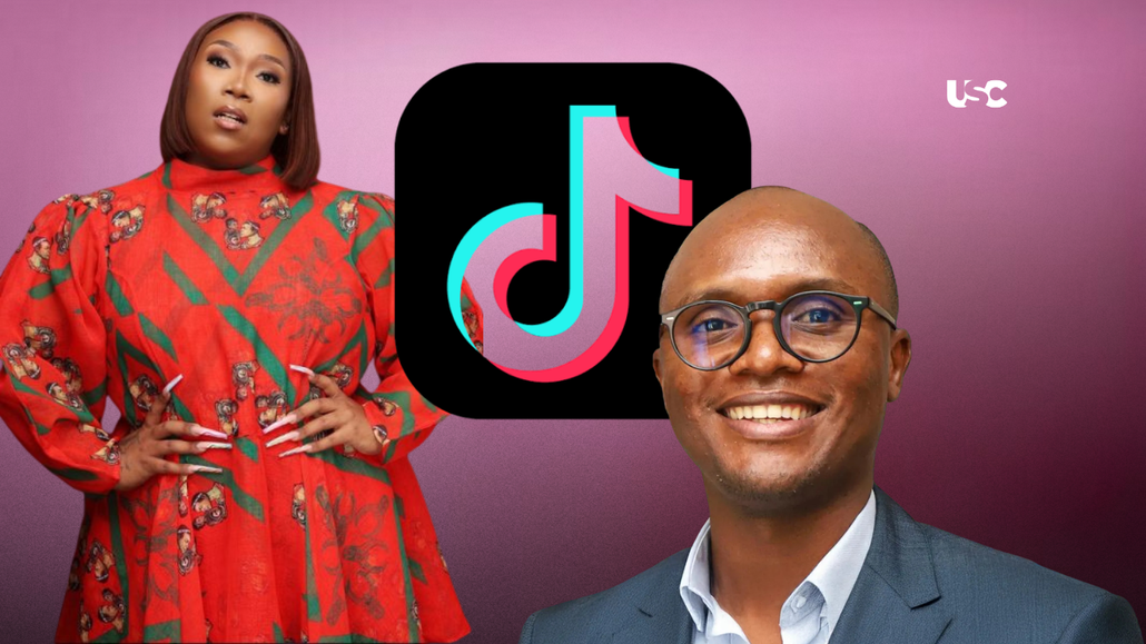 TikTok South African creators monetisation