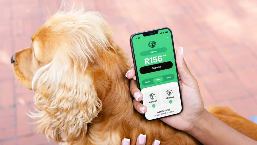 Naked pet insurance South Africa